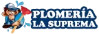 cropped-PLOMERIA-LA-SUPREMA-LOGO.webp